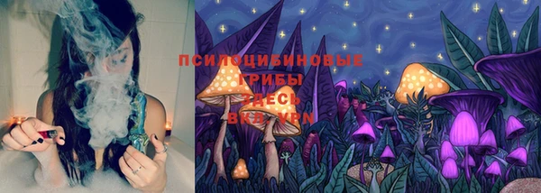 jwh Пересвет