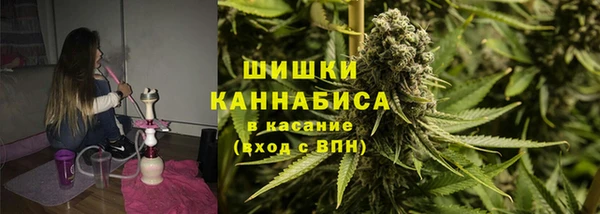 jwh Пересвет