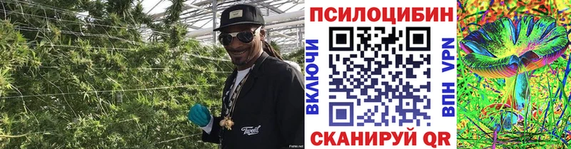 Купить закладки  Заполярный  Галлюциногенные грибы прущие грибы 