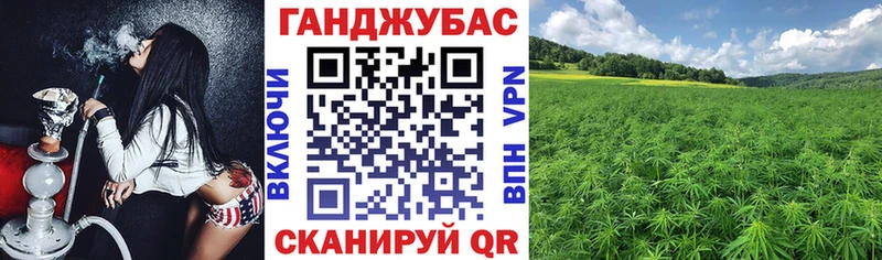Купить где  Заполярный  Конопля тримм 